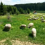 Kleine Auf Dem Land, Haus Hans Stepha *