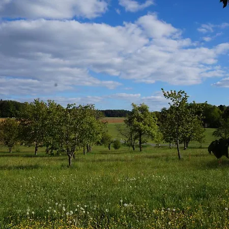 Kleine Auf Dem Land, Haus Hans Stepha شقة غوسوينستين