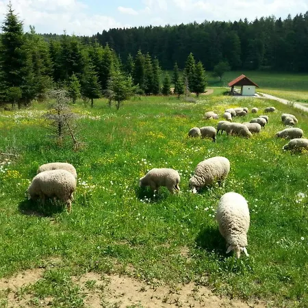 Kleine Auf Dem Land, Haus Hans Stepha *