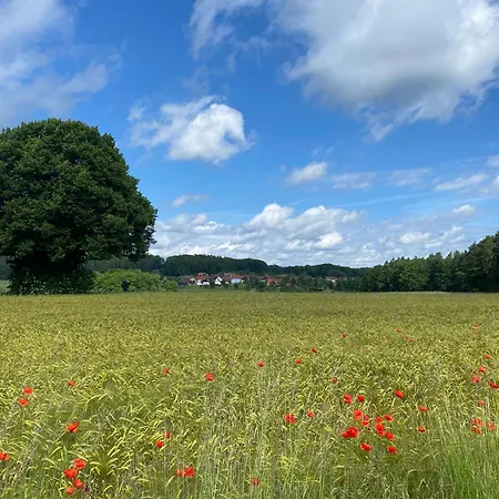 Ferienhaus, Haus Hans Stepha * Goessweinstein