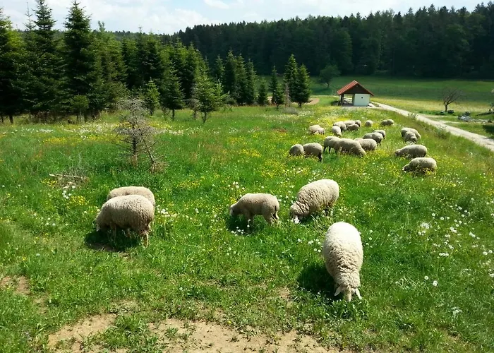 Kleine Auf Dem Land, Haus Hans Stepha *
